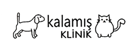 Kalamış Klinik