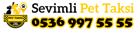 sevimli pet taksi